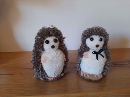 Photo of free Hedgehog cake decoration (Leyland PR25) #1