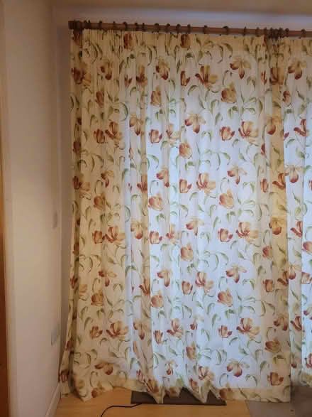 Photo of free Pair of full size French Window curtains, almost new. (Brookvale RG21) #2