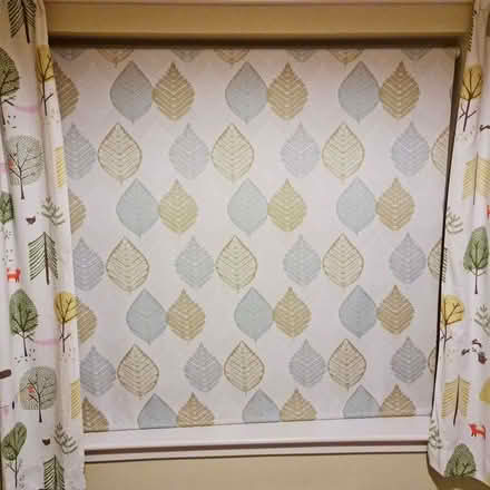 Photo of free Leaf Pattern Roller Blind (Silverknowes EH4) #1