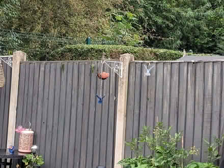 Photo of free Fence panels (Barton-in-Fabis CP NG11) #3