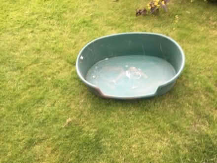 Photo of free Dog basket (Presteigne LD8) #1