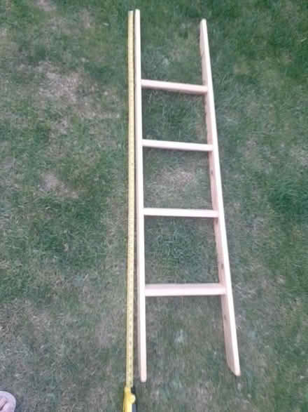 Photo of free bed ladder or garden structure for climbing plants? (Ardingly RH17) #1