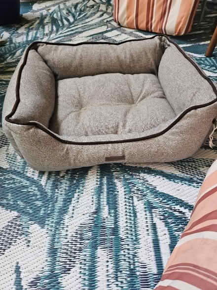 Photo of free Pet Bed (Pape and Eastern Avenue) #2