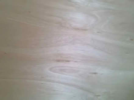 Photo of free Plywood (Kelham Island S3) #3