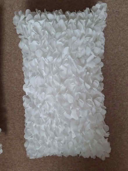 Photo of free Pair of white cushions (Royal Leamington Spa CV32) #3