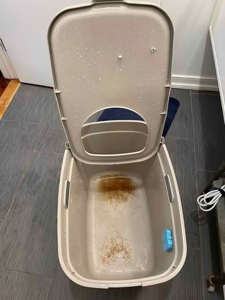 Photo of free Top-entry litter box (East Kensington) #2