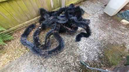 Photo of free 'Hedgehog' Gutter Protection Brush (Horsham Park) #1