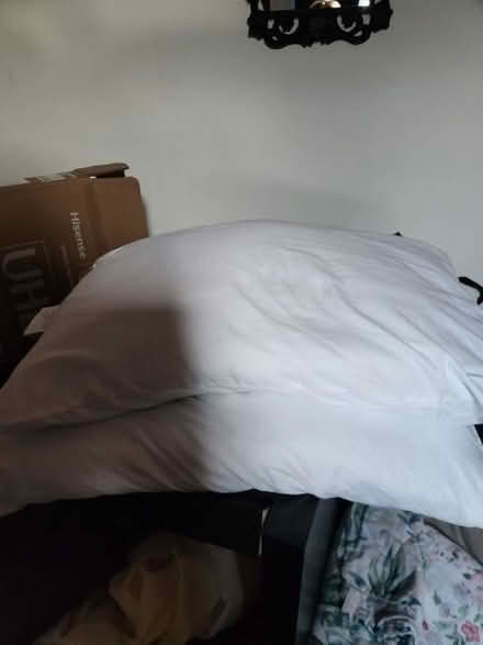 Photo of free two pillows (Wolverton MK12) #1