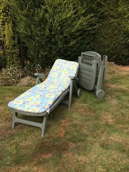 Photo of free Sun loungers and cushions (Orpington) #2