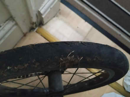 Photo of free Islabike cnoc 16 child's bike (Primrose, Lancaster LA1) #4