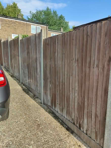 Photo of free Fence Panels and Wood (Pin Green SG1) #4