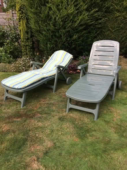 Photo of free Sun loungers and cushions (Orpington) #1