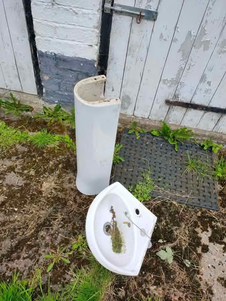 Photo of free Corner sink (Pant SY10) #3