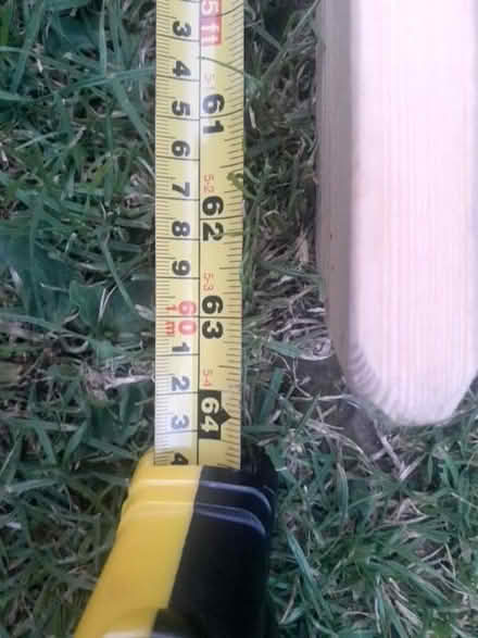 Photo of free bed ladder or garden structure for climbing plants? (Ardingly RH17) #2