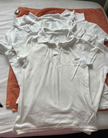 Photo of free Polo shirts (Worthing BN13) #1