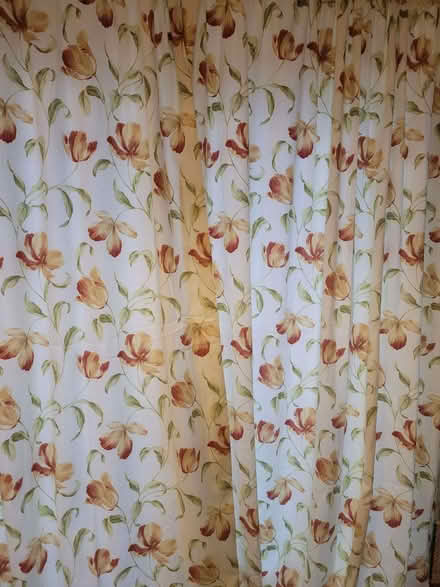 Photo of free Pair of full size French Window curtains, almost new. (Brookvale RG21) #4