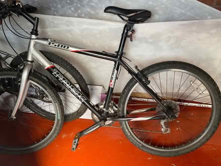 Photo of free Boys mountain bike (Childwall L16) #1