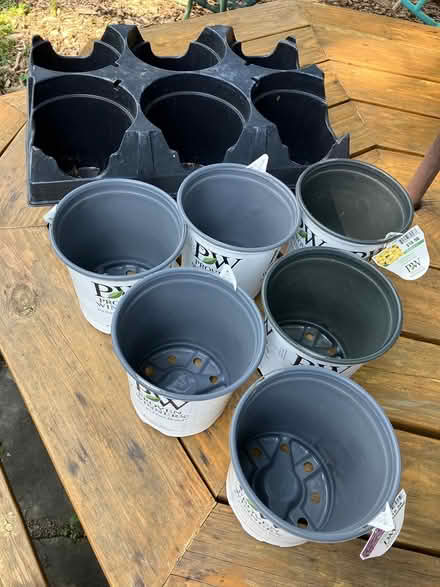 Photo of free Clean glass and plastic containers (Downtown ITH) #2
