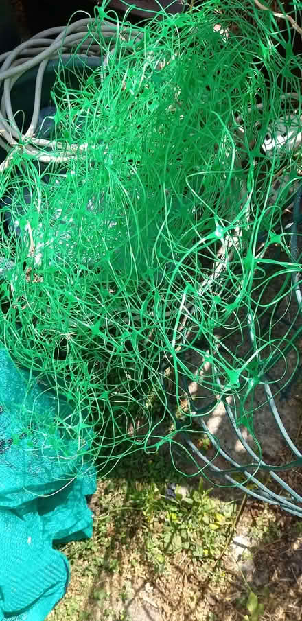 Photo of free Garden netting (Brentwood CM15) #2