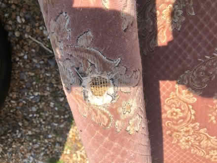 Photo of free Old chaise lounge needs tlc (Alverstoke) #3