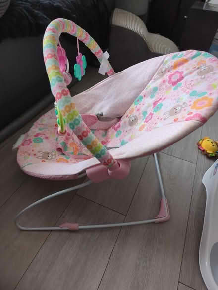 Photo of free Pink baby bouncer with vibration (Chessington KT9) #2