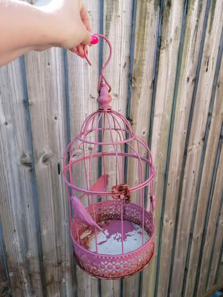 Photo of free Garden decorative bird cage (City of Bristol BS4) #2