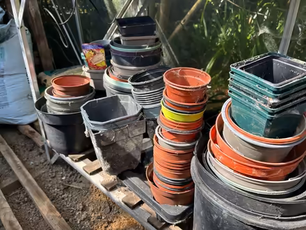 Photo of free Plastic plant pots (Hellingly BN27) #1