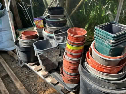 Photo of free Plastic plant pots (Hellingly BN27) #1