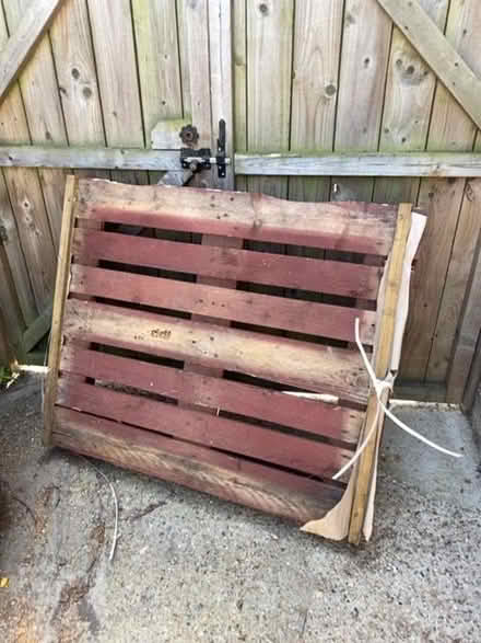Photo of free pallet (Downswood ME15) #1