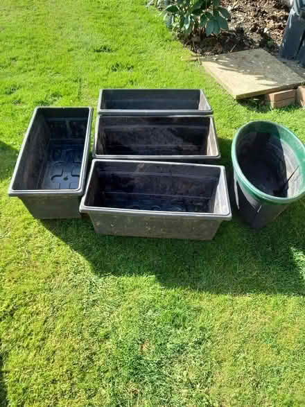 Photo of free 5 x Plastic planters (Gobowen SY11) #1