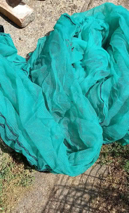 Photo of free Garden netting (Brentwood CM15) #1