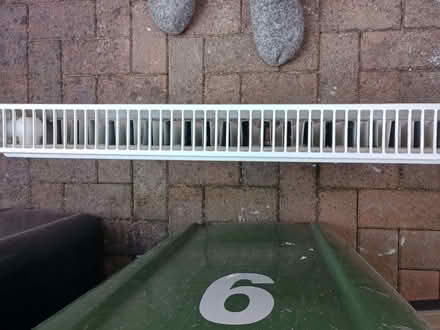 Photo of free Central Heating Radiator (Barbourne WR3) #3