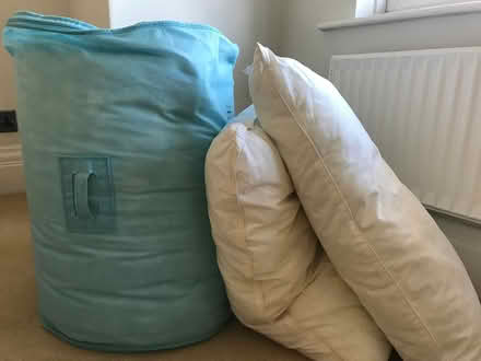 Photo of free Old bedding (Carter Knowle S7) #1