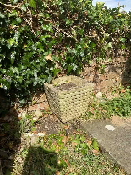 Photo of free Stone plant container (Keynsham) #1