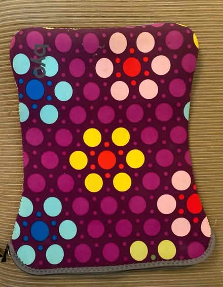 Photo of free BYO laptop case (NE Ann Arbor near Dixboro) #1