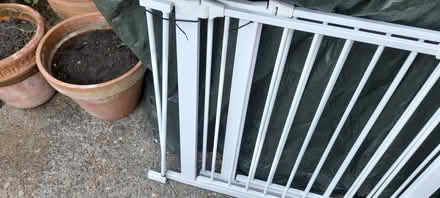 Photo of free Stair gates (West malling ME19) #3