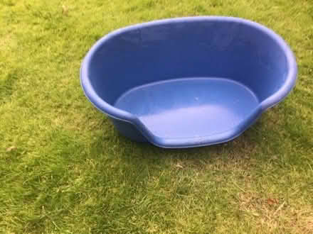 Photo of free Small dog basket (Presteigne LD8) #1