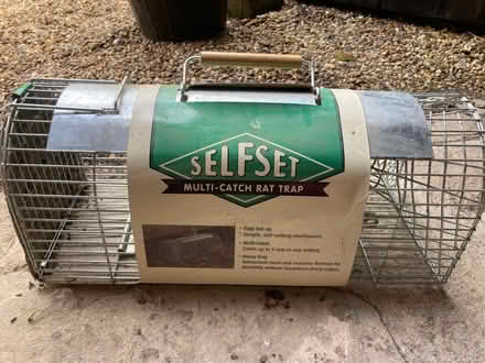 Photo of free Humane rat trap (Diss IP22) #1
