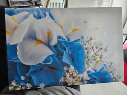 Photo of free Canvas (TW5, Hounslow West) #1