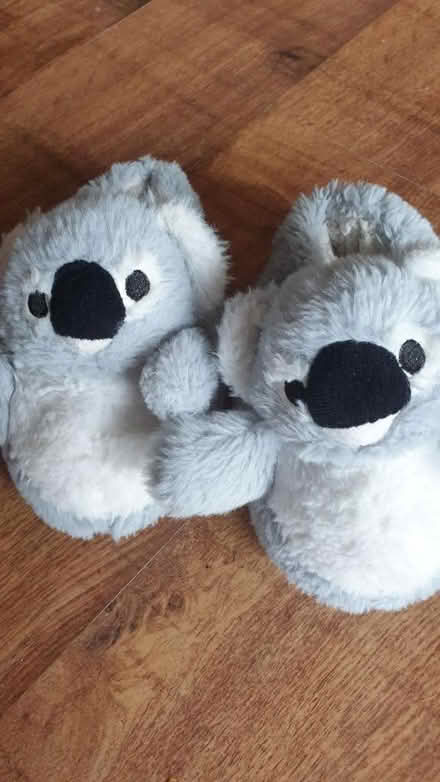Photo of free Koala slippers kids size 11/12 (TW7) #1