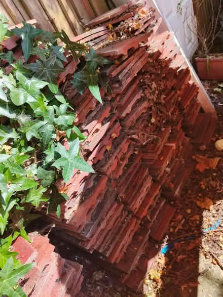 Photo of free Roof Tiles (Widmore BR1) #4