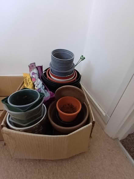 Photo of free Various plastic plant pots (Branksome BH12) #1