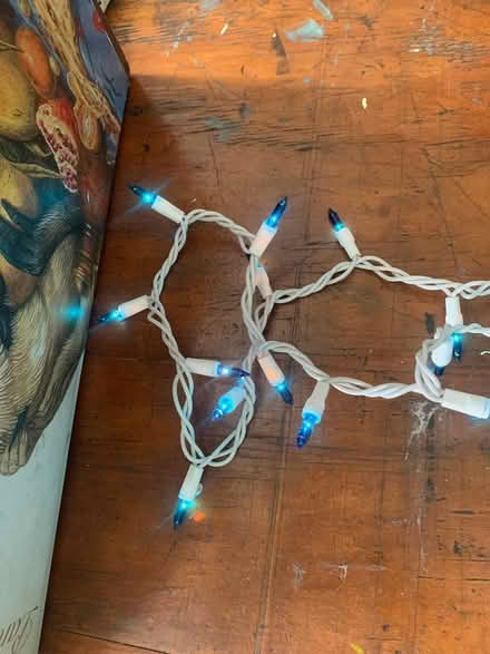Photo of free Blue christmas lights (Ridgewood, Queens) #2