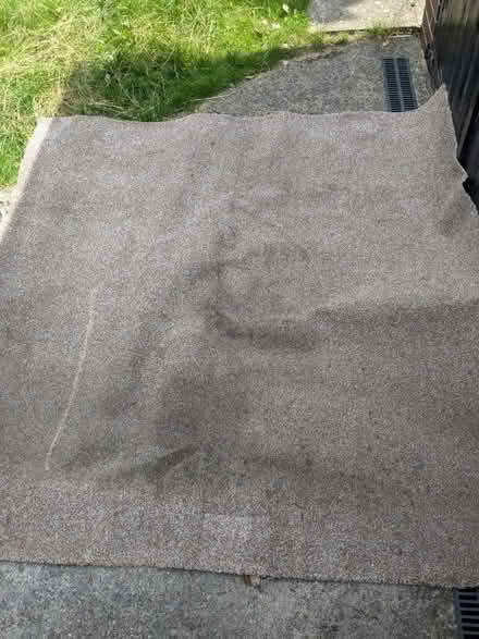 Photo of free Carpet. Big square from rentalhouse (S7 Nether Edge) #2