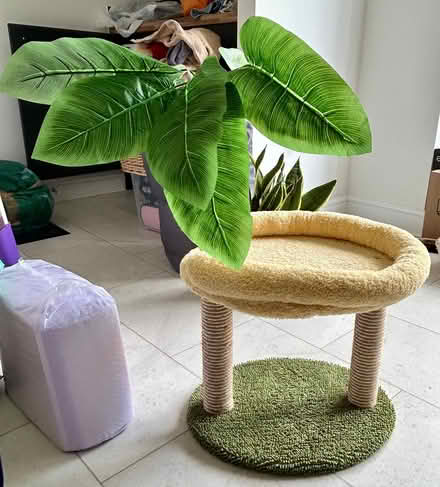 Photo of free Small cat bed (Stapleford NG9) #1