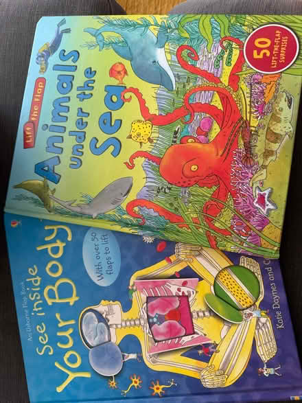 Photo of free Lift the flap books (Oldfield Park) #1