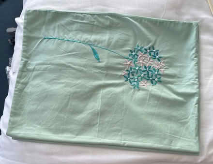 Photo of free Aqua pillow cases (Mandeville DT4) #1