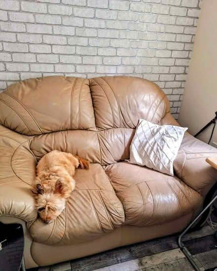 Photo of free Solid Cream Genuine leather 2 piece suite (Moss LL11) #3