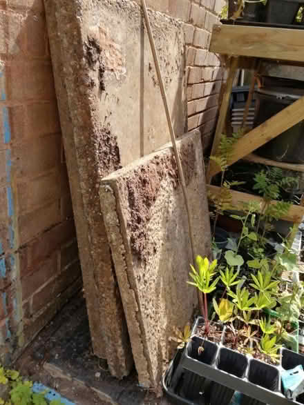 Photo of free Concrete slabs (B71 westbrom) #1