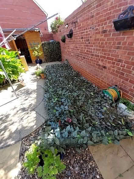 Photo of free Leaf trellis (Kempston MK42) #1